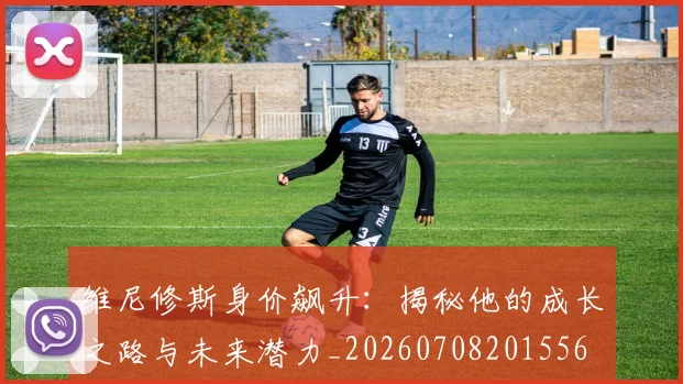 维尼修斯身价飙升：揭秘他的成长之路与未来潜力_20260708201556