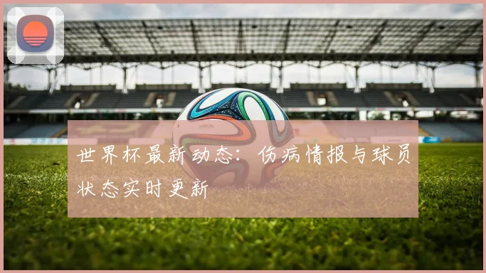 世界杯最新动态：伤病情报与球员状态实时更新